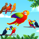 Bird Sort – Rainbow Birds Game MOD Unlimited Money