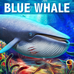 Blue Whale Simulator – Game MOD Unlimited Money