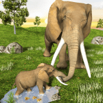 Wild Elephant Africa Wildlife MOD Unlimited Money