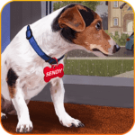 Animal Shelter – Pet Shelter MOD Unlimited Money