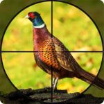 Pheasant Shooter Birds Hunting MOD Unlimited Money